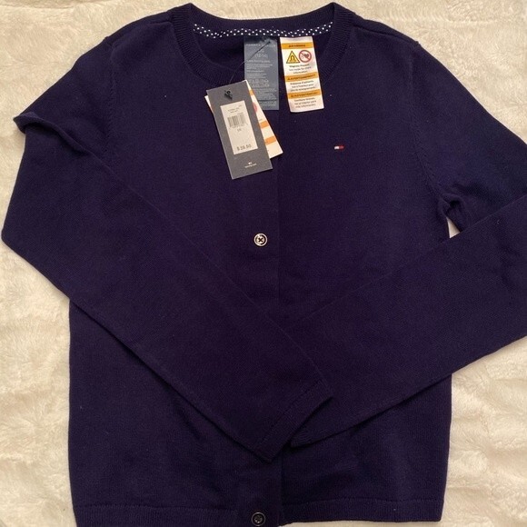 Tommy Hilfiger blue sweater size Large - Picture 1 of 2